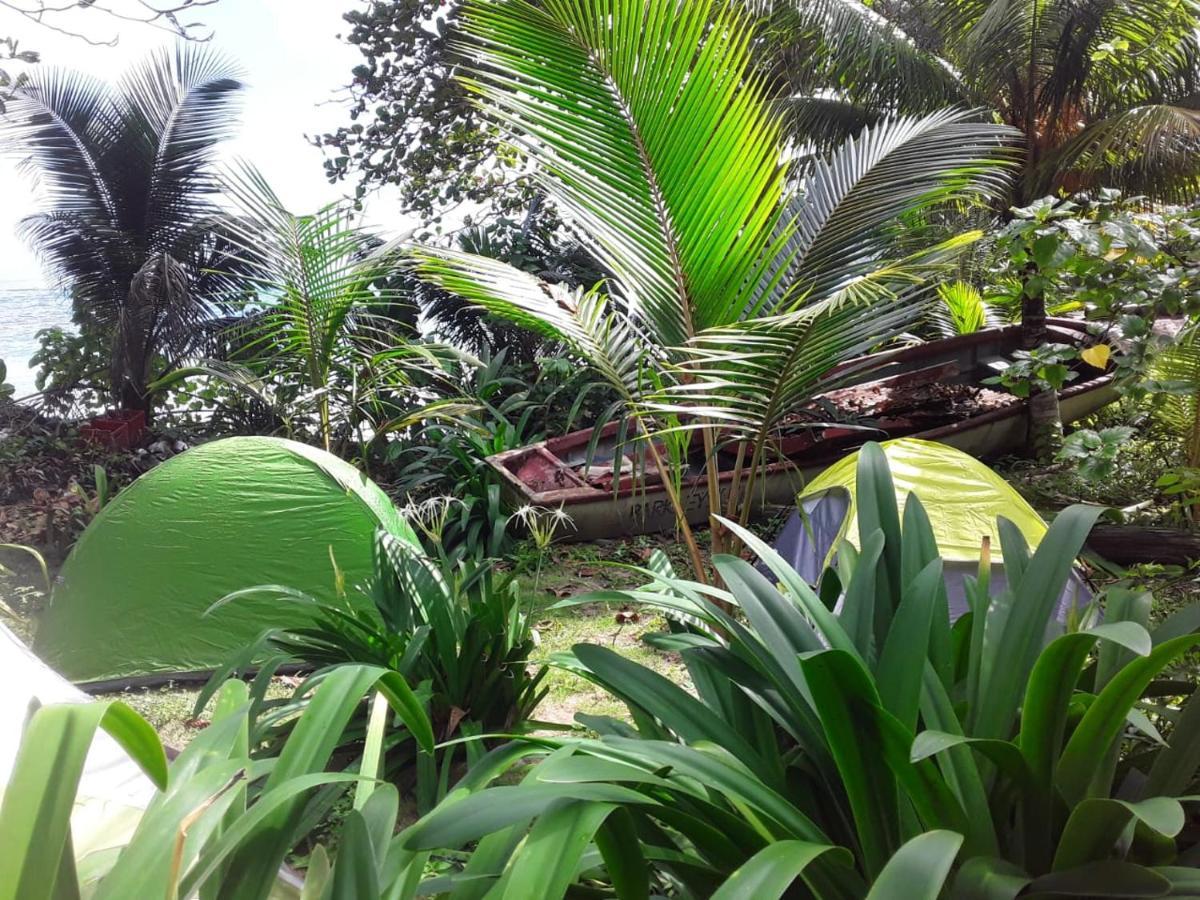 Port Antonio Brian'S Beach House Eksteriør billede