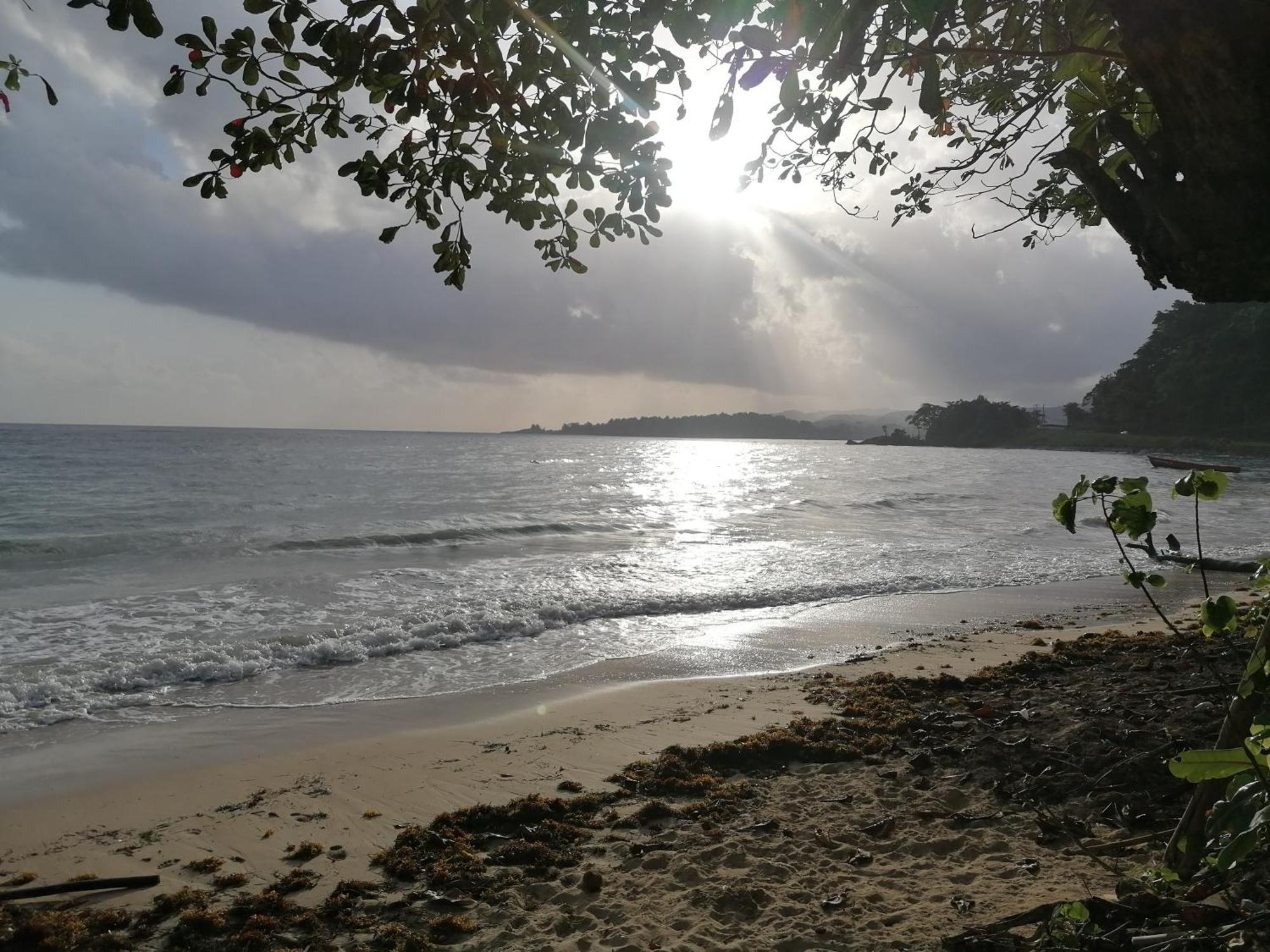 Port Antonio Brian'S Beach House Eksteriør billede