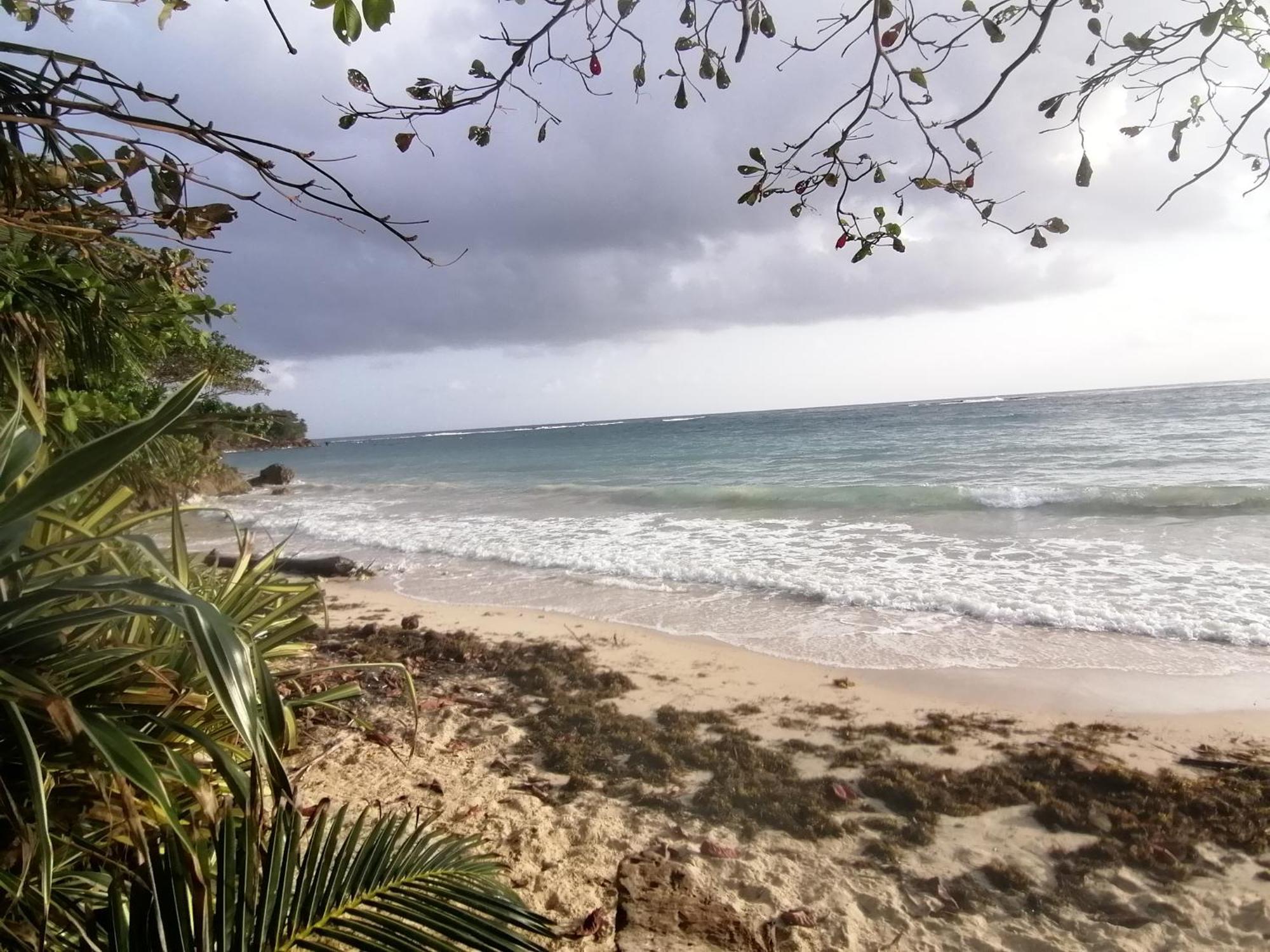 Port Antonio Brian'S Beach House Eksteriør billede