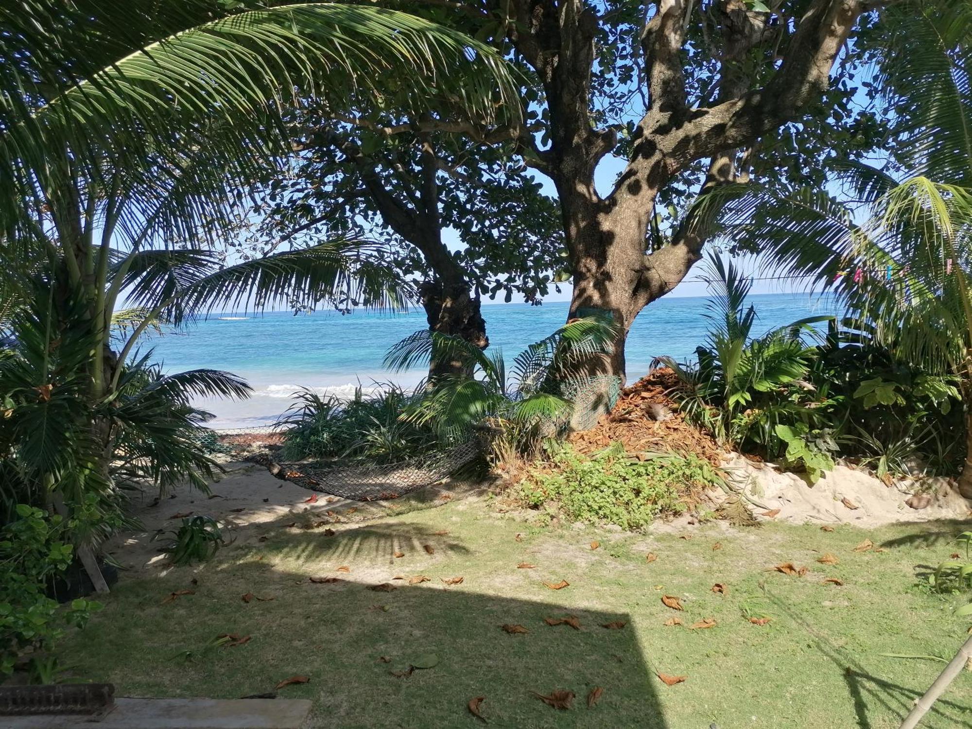 Port Antonio Brian'S Beach House Eksteriør billede