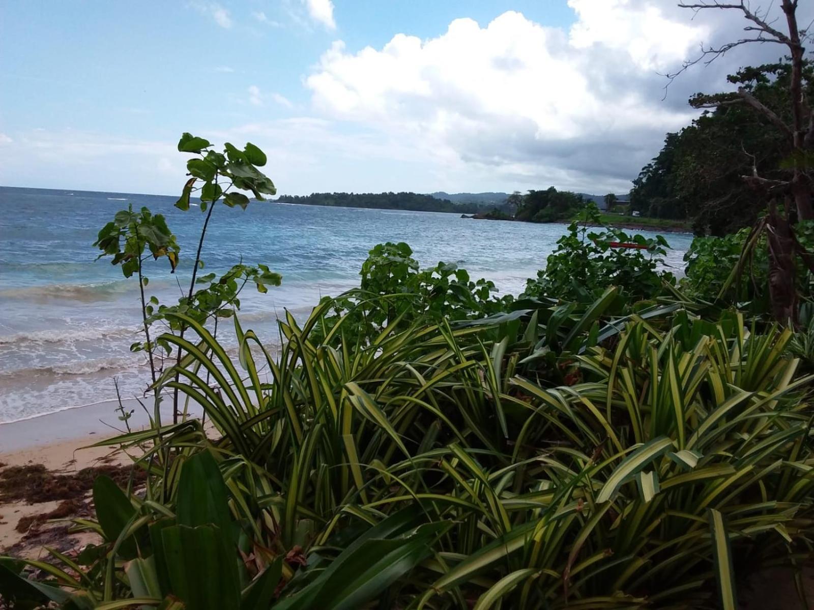 Port Antonio Brian'S Beach House Eksteriør billede