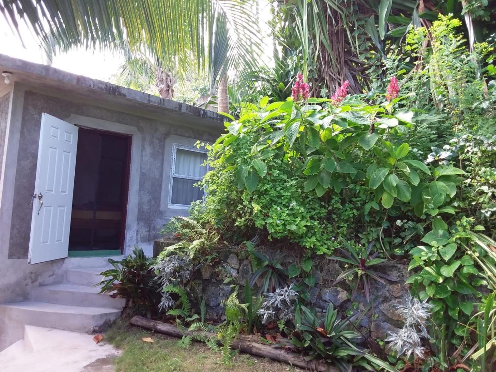Port Antonio Brian'S Beach House Eksteriør billede