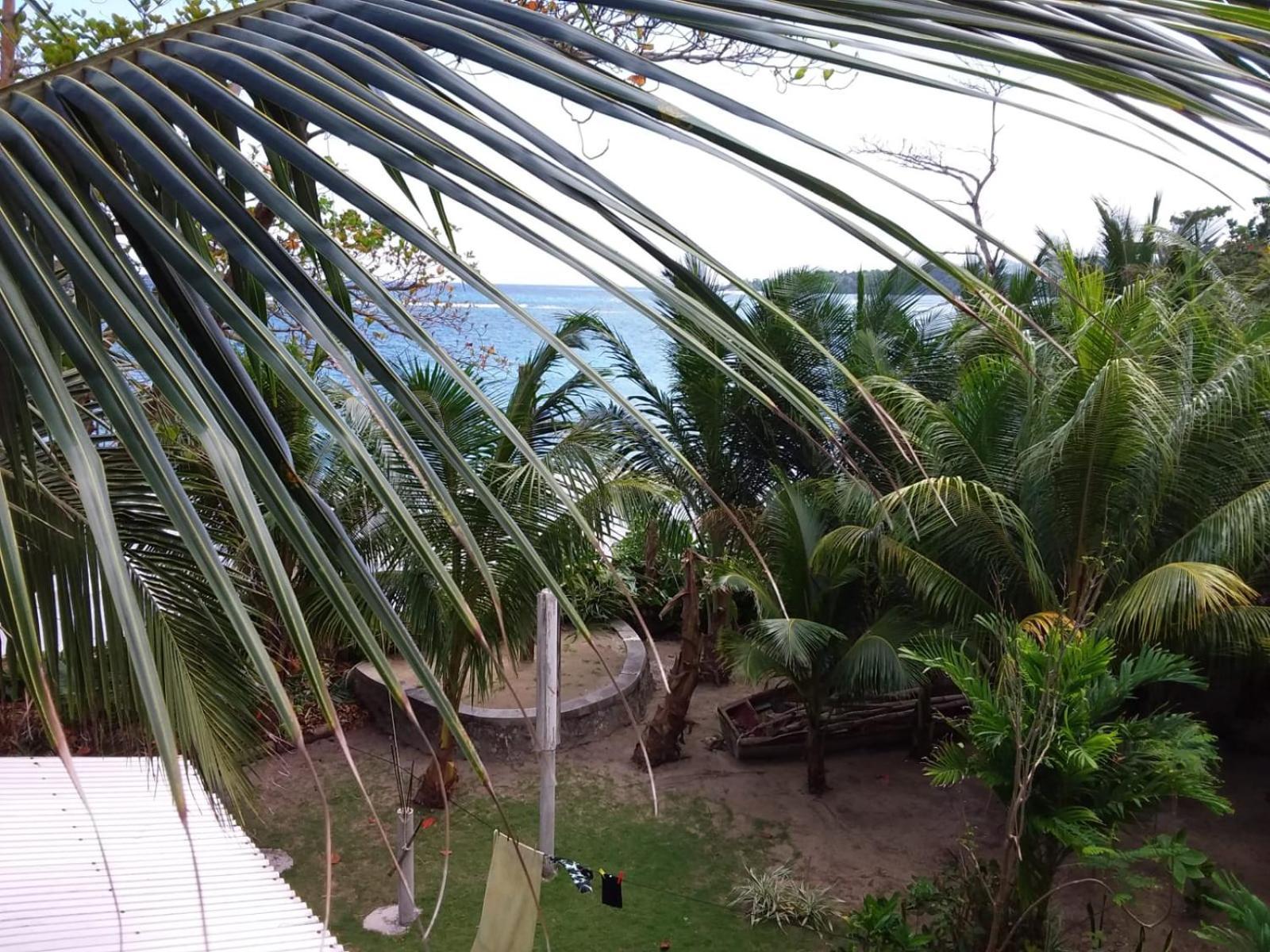 Port Antonio Brian'S Beach House Eksteriør billede
